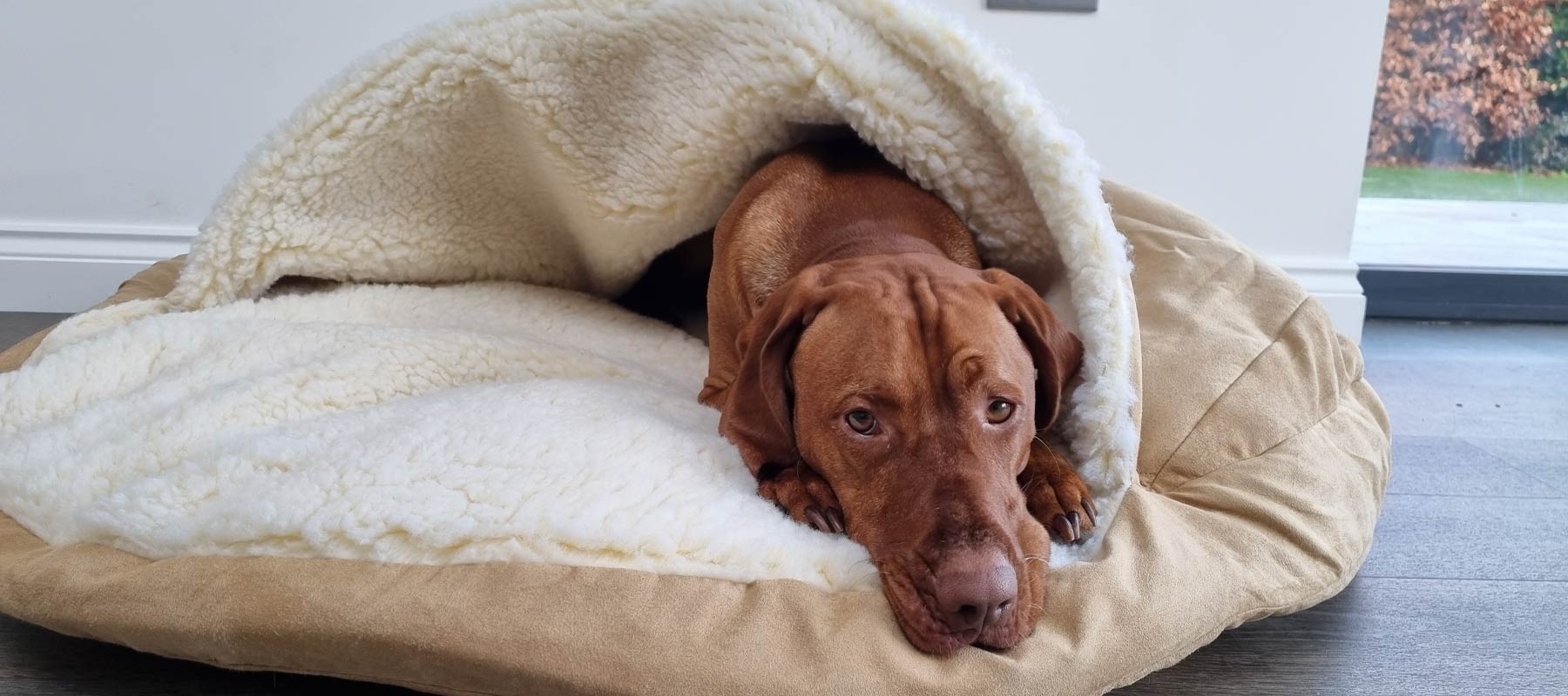 11 Pictures That Prove Dogs Love Snoozer Cozy Cave® Dog Beds!