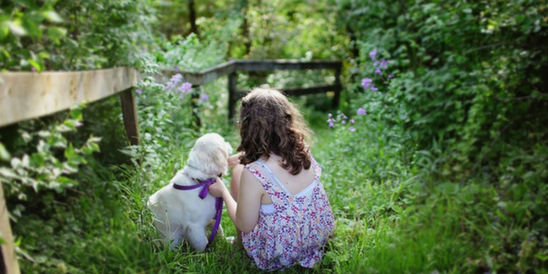 What It's Like To Get A Puppy (by 9-year-old Amelie Hicks)