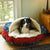 Snoozer Luxury Cozy Cave - Wag Collection